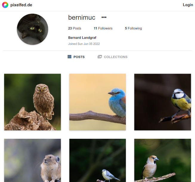 Screenshot of a Pixelfed page, showing a gallery of photos.