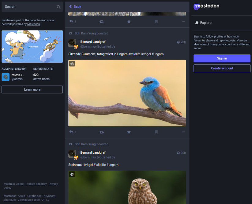 Screenshot from a Mastodon feed, including a photo originally from Pixelfed.